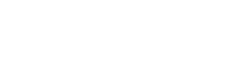 logo light